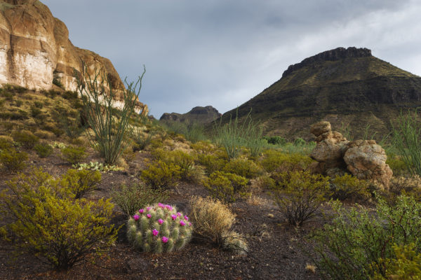 Big Bend Ranch State Park - Photo Workshop 2009