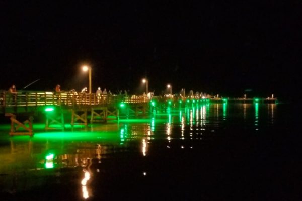 Anglers on Fulton Pier