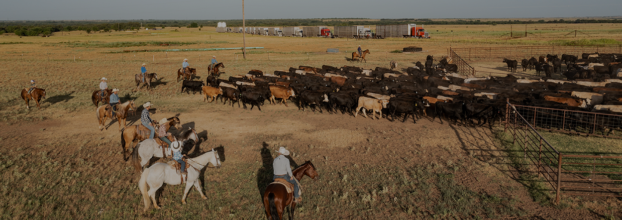 TPWF Program Helps Buffer Protected Lands from Development