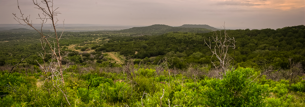 H-E-B Shows its Wild Side with Texas Parks & Wildlife Gift