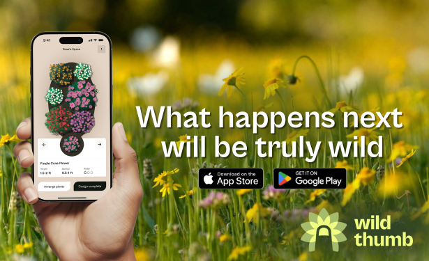New Wild Thumb App Makes It Easier for Texans to Grow Native Plants for ...